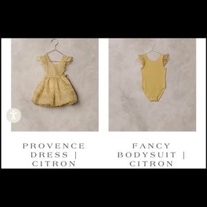 Noralee Provence dress in citron 12m